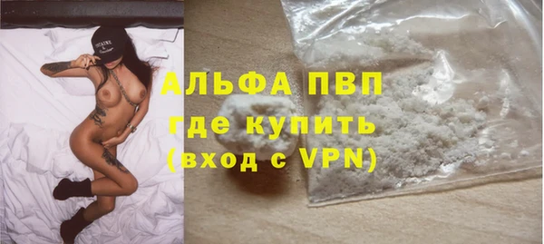 гидра Михайловск