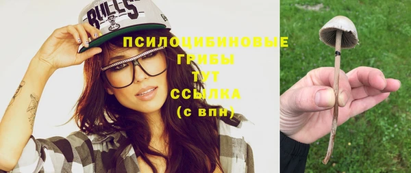 гидра Михайловск