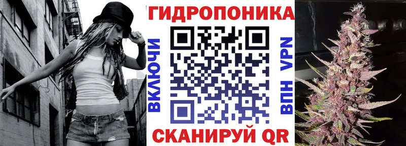 Каннабис ГИДРОПОН  Ессентукская 